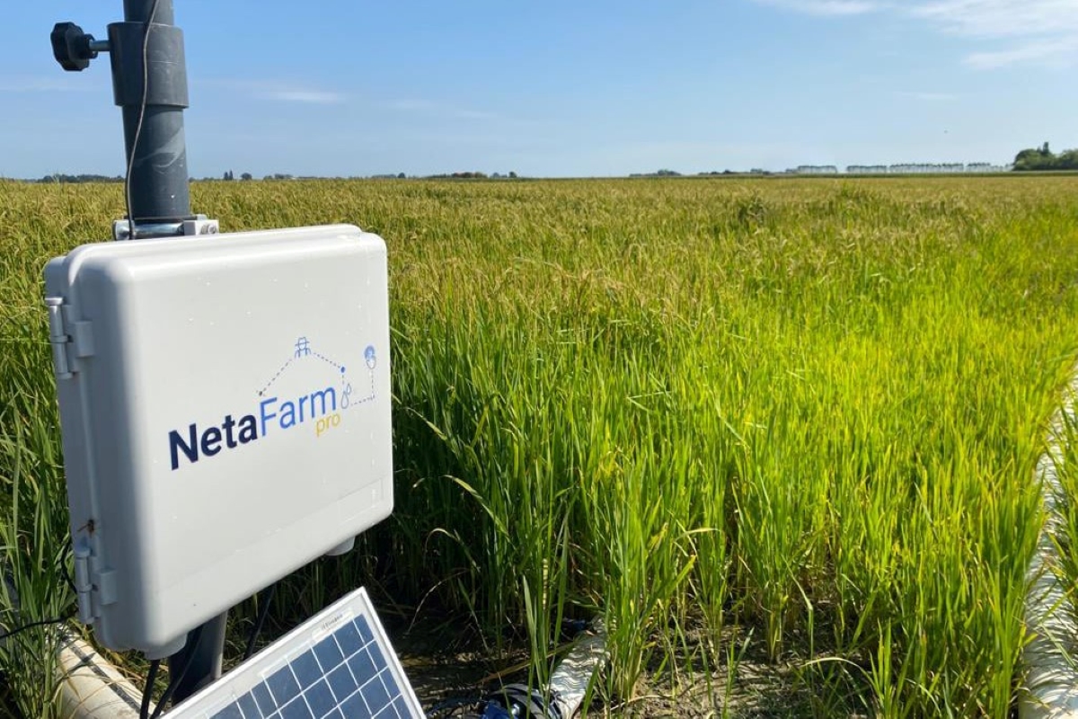 Netafim propone soluzioni innovative per l'irrigazione di precisione